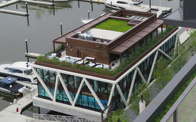 vegetated roof, green roof, amenity deck