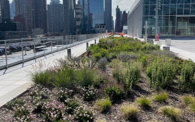 Javits Center