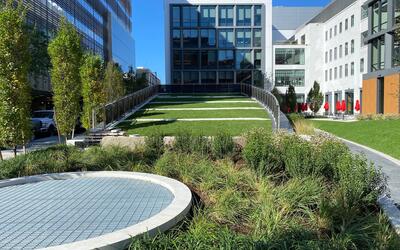 730-750 Main Street - MIT Sloped Lawn Green Roof