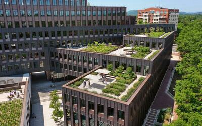 green roof