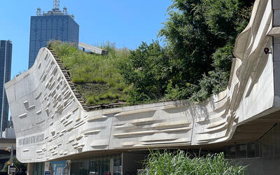 vegetated roof, green roof, amenity deck