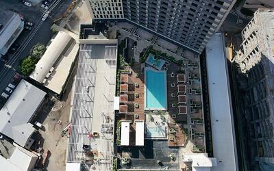 vegetated roof, green roof, amenity deck