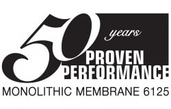 50 Year Logo