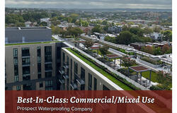 vegetated roof, green roof, amenity deck